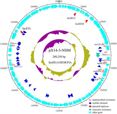 Isolation, Molecular Characterization, and Antimicrobial Resistance of Selected Culturable Bacteria From Crayfish (Procambarus clarkii)